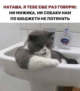 Реальные нереальные будни