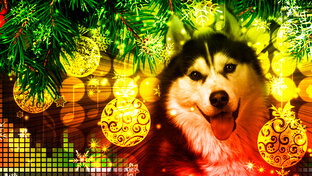 творчество 📽️🎶🎭