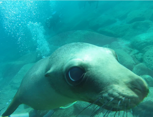 Мексика. Ла Пас.