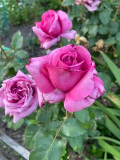 Будни корреспондента