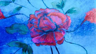 Цветы 🌺🌺🌺