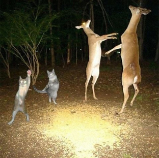 Ден добрый сегодня пятница будем тусоваться 