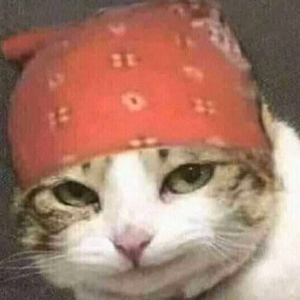 Тест