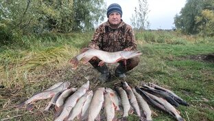 Рыбалка на Хищника