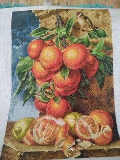 Мандарины и птичка 