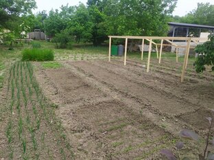 Сад, огород, цветы