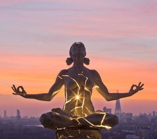 "Золотая середина"