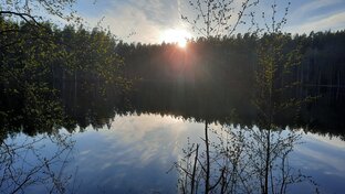 Карелия