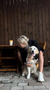 DOG FRIENDLY  места Сочи 