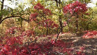 Природа Крыма.