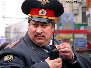 Без названия