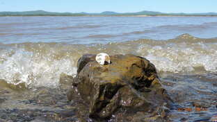 Новая жизнь после 50... Трудно ли решиться на переезд?