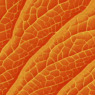 Лепка из глины