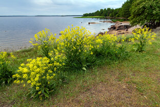 Природные красоты