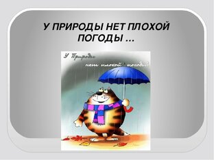 У природы нет плохой погоды