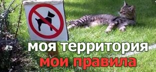 Мои правила на Авито ☺️