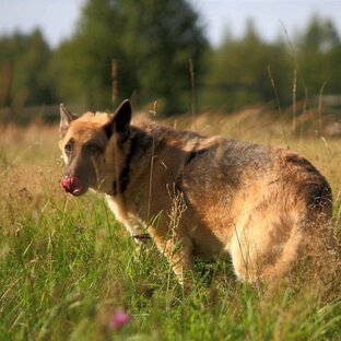 Поздравления