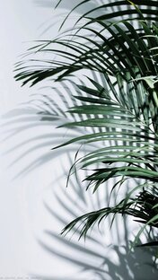 Техники и практики