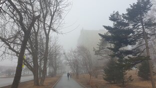 Душевные клипы