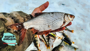 Зимняя рыбалка