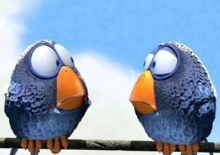 Мои мысли по поводу и без