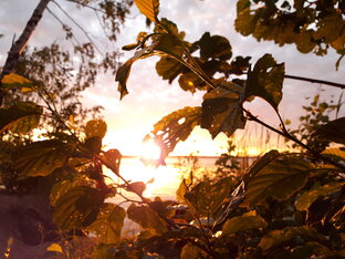 Летние вечера