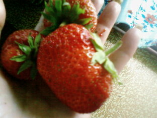 Как много прекрасного вокруг!