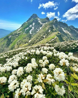 Путешествия