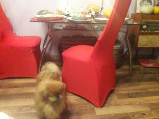 Расхламление