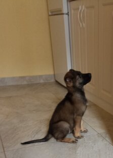 Твои глаза 😉😘🐕‍🦺