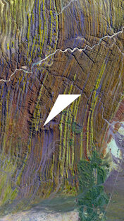 Общая кухня 