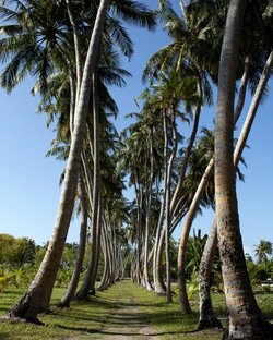 Путешествия