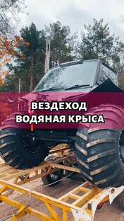 Водяная крыса