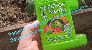 Лучшее средство от болезней и вредителей растений