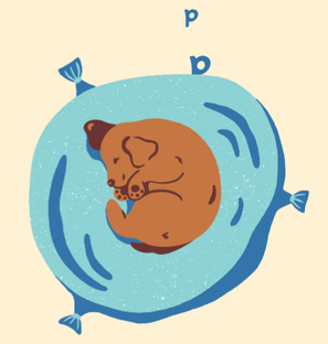 Сон всему голова