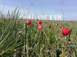 Калмыкия