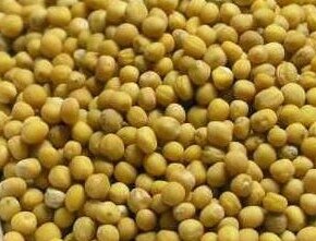 Горчица и васаби