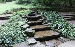 ОДИНОКИЙ ЭКОЛОГ В ПУТИ