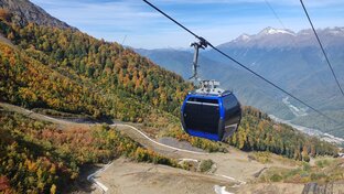 Осень в Сочи 🍁⛰️🌊