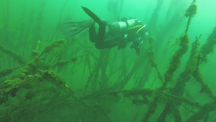 Подмосковье