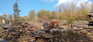 Новая эпоха в жизни бездомных животных