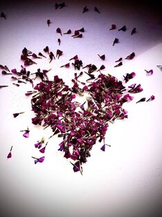 Все, что вам нужно, это любовь