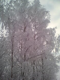Стихи про жизнь.