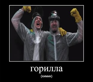 Мемы 