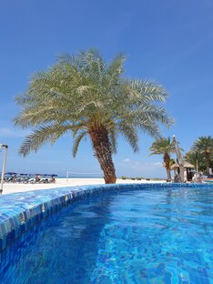 Путешествия