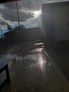 Фото подписчиков