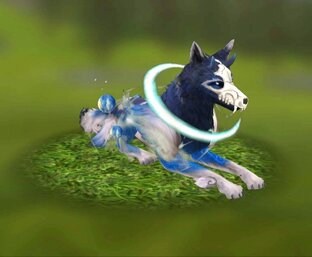 Открытие сундуков