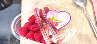 Мои истории о жизни 