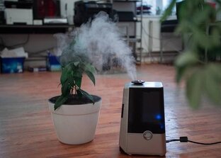 Полезные советы