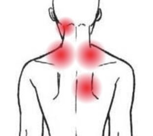 Видео о боли в спине